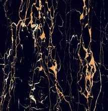 Керамогранит Art Ceramic Portoro Gold High gloss 60x120