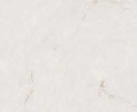 Керамогранит Absolut Gres Profitland Bianco Gloss 60x60