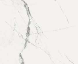 Керамогранит Fanal Pulido NPlus New ice white 60х120 NPlus 33