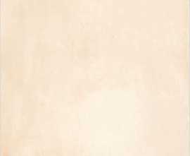 Керамогранит Colortile Rare Ivory 60x60 Матовый