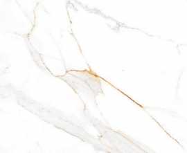 Керамогранит Absolut Gres Regal Carrara Matt 60x60
