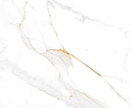 Керамогранит Absolut Gres Regal Carrara Gloss 60x60