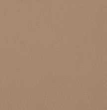 Керамогранит Casalgrande Padana R-Evolution Terra 10mm 60х120