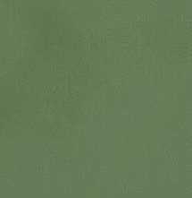 Керамогранит Casalgrande Padana R-Evolution Green 10mm 60х120