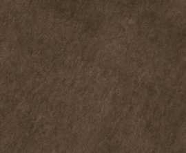 Керамогранит Alma Ceramica Ricci 40R Sugar-эффект