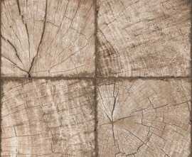 Керамогранит New Trend Ringwood Brown Tik Brown