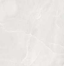 Керамогранит FAP Ceramiche Roma Gold Gp 60x120 Onice Neve Brill
