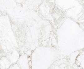 Керамогранит Absolut Gres Rossalia Natural Gloss 120x60