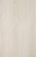 Керамогранит PrimaVera Shine wood Beige