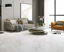 Керамогранит Evolution ceramic SKJD010