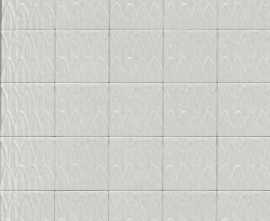 Керамогранит Ragno Sol Struttura Foglia Bianco 3D