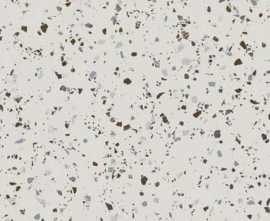Керамогранит Apavisa South White natural