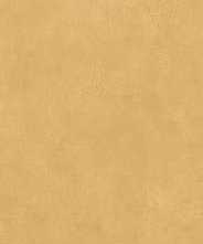 Керамогранит Simpolo Ceramics Spectra Scs Mustard Gv 120х278х6
