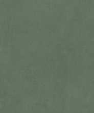 Керамогранит Simpolo Ceramics Spectra Scs Herbs Gv 120х278х6