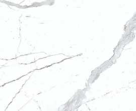 Керамогранит Magnifica Statuario R 60x120
