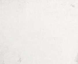 Керамогранит Porcelanosa Steel Bone 120x120 (8 мм)