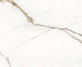 Керамогранит Provenza Unique Marble Paonazzetto Silktech 120x60