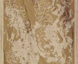 Декор керамогранит Brennero Venus Dec. Solitaire Rosone Pav. Gold Visone 60