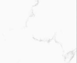 Керамогранит Sina Tile Versace 9057 White