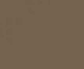 Керамогранит Top Cer Базовая Плитка L4429-1Ch Coffee Brown - Loose