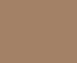 Керамогранит Top Cer Базовая Плитка L4404-1Ch Caramel - Loose