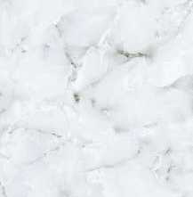 Керамогранит Nb ceramic Глянцевый 120x60 Opal White