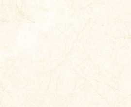 Керамогранит Nb ceramic Глянцевый 60x60 Sahara Beige