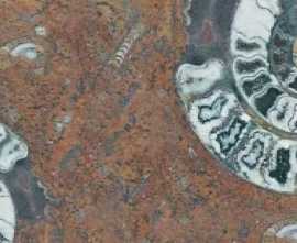 Плитка напольная Serapool Natural Series Fossil Mix 66x33