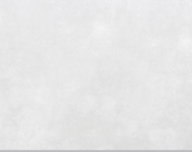Плитка настенная AltaCera Algorithm White 24.9х50