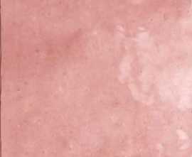Плитка настенная Equipe Artisan Rose Mallow 13,2