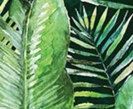 Декор настенный Ceramica Konskie Braga Tropic A Rect