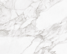 Керамогранит Argenta Carrara White Shine 60 (1,44)