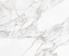 Керамогранит Argenta Carrara White Shine 60 (1,08)