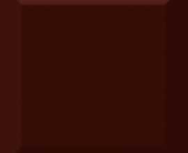 Плитка настенная Absolut Keramika Monocolor Biselado Brillo 10x10 Marron