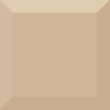 Плитка настенная Absolut Keramika Monocolor Biselado Brillo 10x10 Beige