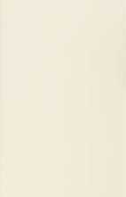 Плитка настенная Ascot New England Beige 33x100