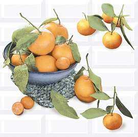 Панно настенное Azori Вог Citrus 2
