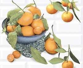 Панно настенное Azori Вог Citrus 2