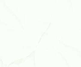Плитка настенная Kerasol Agoda Leaves Blanco Rectificado
