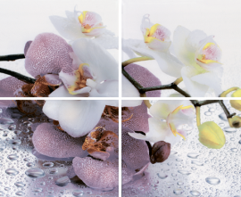 Панно настенное Терракота Alba Orchid Цветы (компл. из 4х пл.)