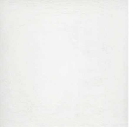 Плитка напольная Polcolorit Ardesia Bianco 59.4x59.4