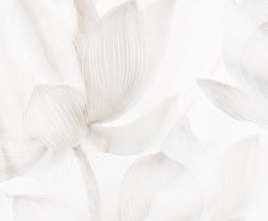 Плитка настенная PiezaROSA Bianco Deco 2 Белая