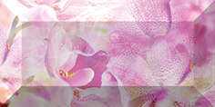 Бордюр настенный Ceramica Classic Impression Flowers рельефный 2