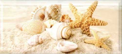 Плитка настенная PiezaROSA Legend/ Magnoliya Seashells крупные