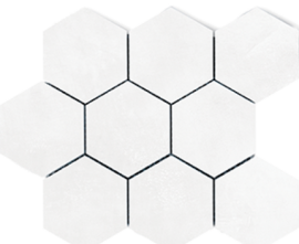 Мозаика Polcolorit Modern Bi Mosaic Hex