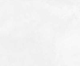Плитка настенная Polcolorit Modern Bianco