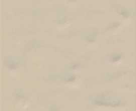 Плитка настенная Vives Paola Beige B