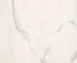 Керамогранит FAP Ceramiche Roma Calacatta 20x20