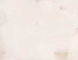 Плитка настенная Eletto Ceramica Rosa Portogallo R Beige