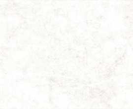 Плитка настенная Alma Ceramica Trevis TW014